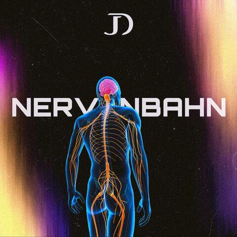 Nervenbahn