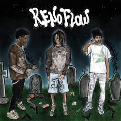 Renoflow
