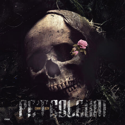 Petroleum