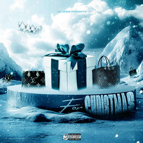 For Christmas