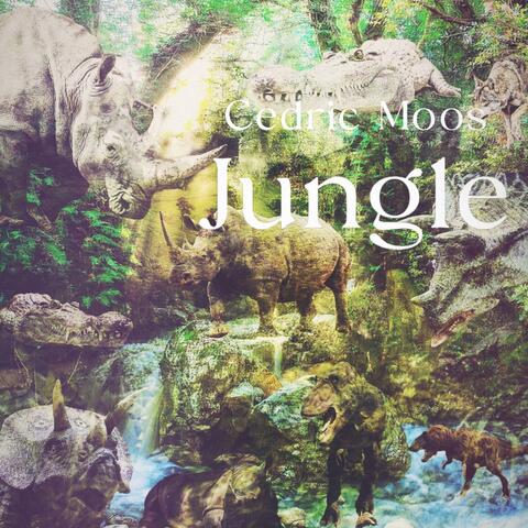 Jungle