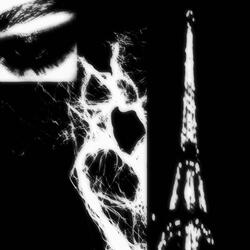 lost my heart in paris