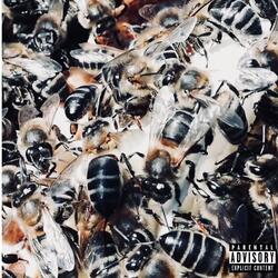 Birds and the Bees
