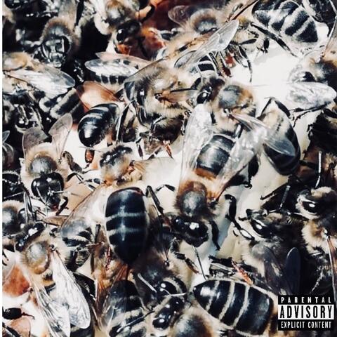 Birds and the Bees