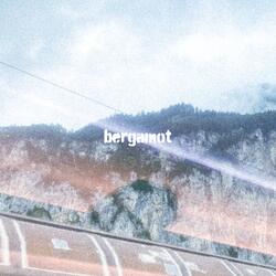 bergamot
