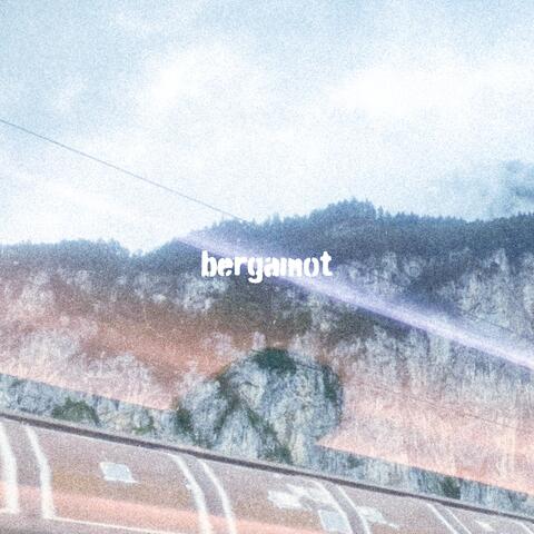 bergamot
