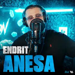 Anesa
