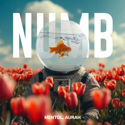 Numb