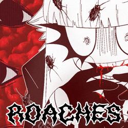 ROACHES
