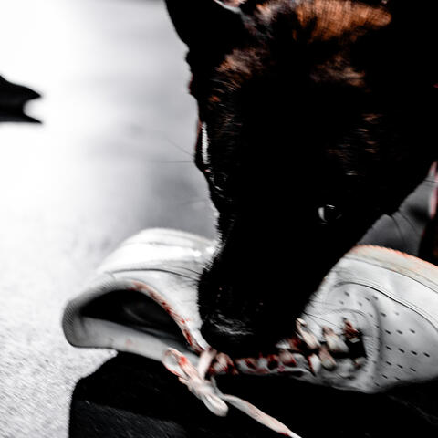 Feral