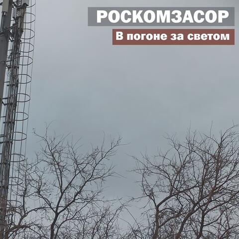 В погоне за светом