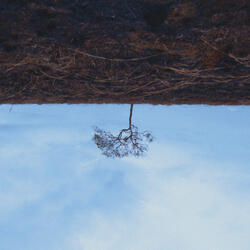 Expectancy