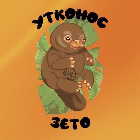Утконос