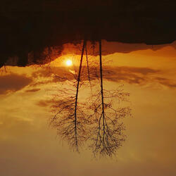 Reflected in Mirror