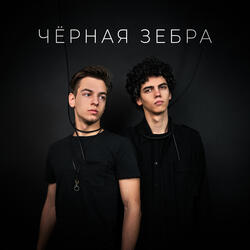 Чёрная зебра