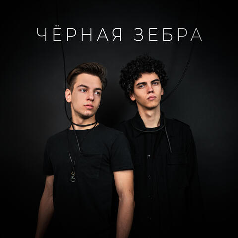 Чёрная зебра