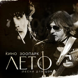 Видели ночь