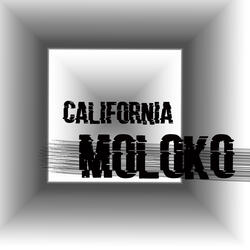 Moloko