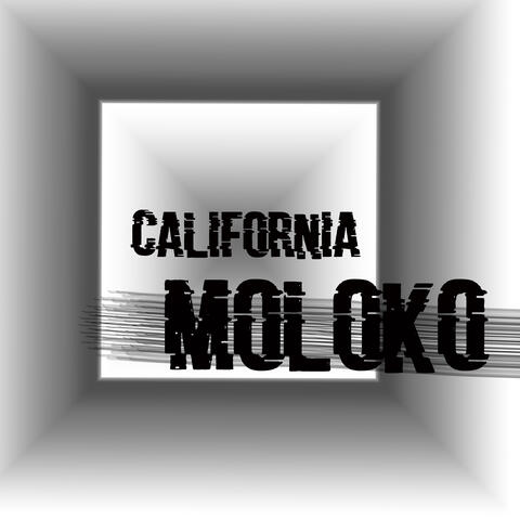 Moloko