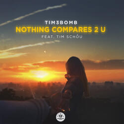 Nothing Compares 2 U (feat. Tim Schou)