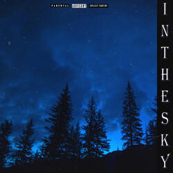 In the Sky (Slowed + Reverb)