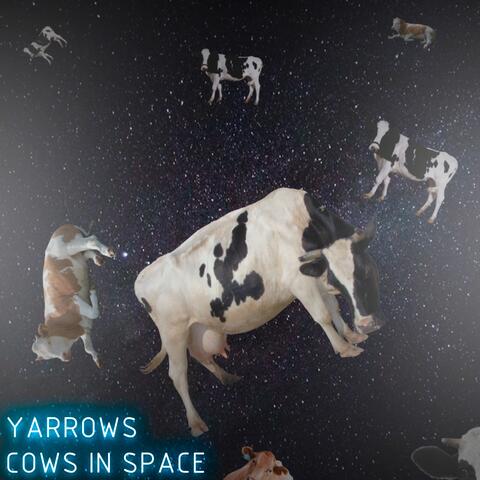 Cows in Space