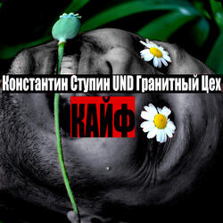 Кайф (Version 2017)