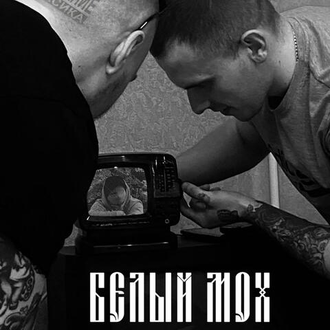 Белый мох