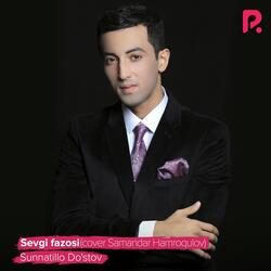 Sevgi fazosi