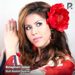 Bolaginam bolasi