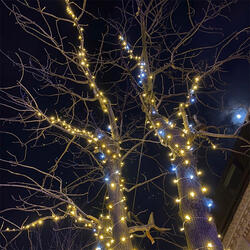 on me (prod. by thatprettykid)