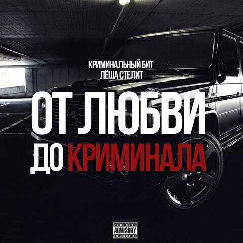 От любви до криминала