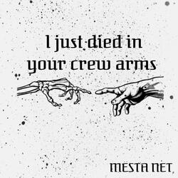 I Just Died in Your Crew Arms