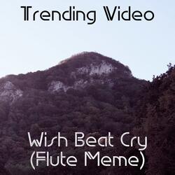 Wish Beat Cry (Flute Meme)