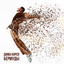 Бермуды
