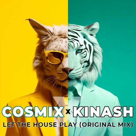 Let The House Play (Original Mix)