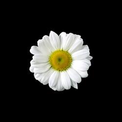 глаза на тебе