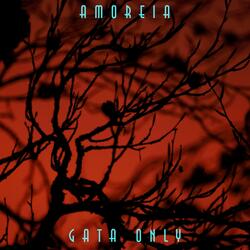 Gata Only (Speed-Up Tik-Tok Remix)