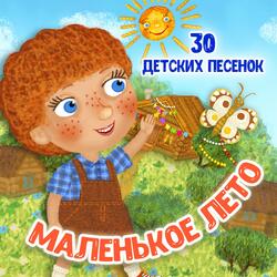 Зебра в тельняшке