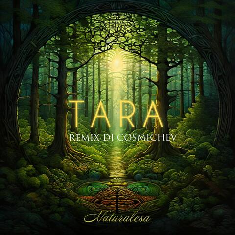 Tara (DJ Cosmichev Remix)