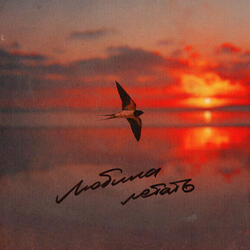 Любила летать