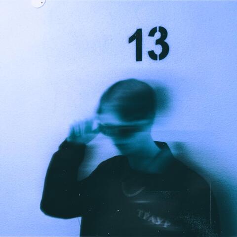 ТРАУР13