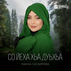 Сан ирсан цlе