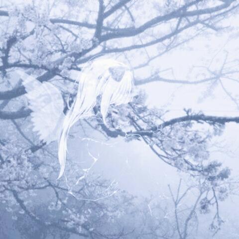 UNTIL DEATH