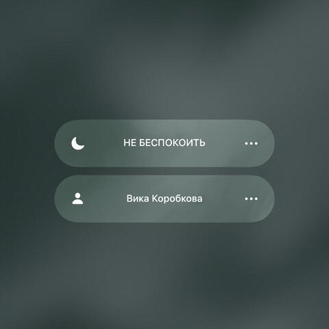Не беспокоить