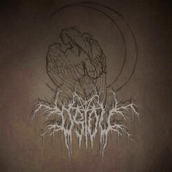 ДРЕВНИЕ КНИГИ