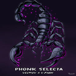 Phonk Selecta