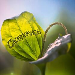 Сдобрились