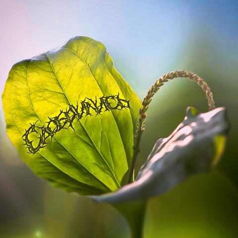 Сдобрились