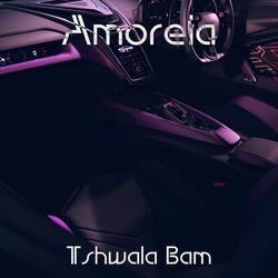 Tshwala Bam (Speed-Up Tik-Tok Remix)